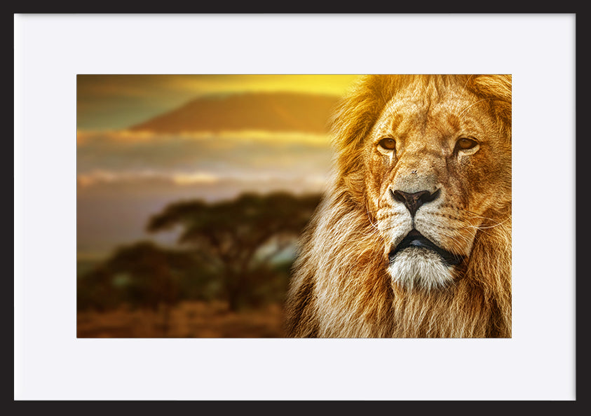 paper_frame