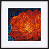 paper_frame