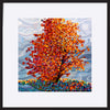 paper_frame