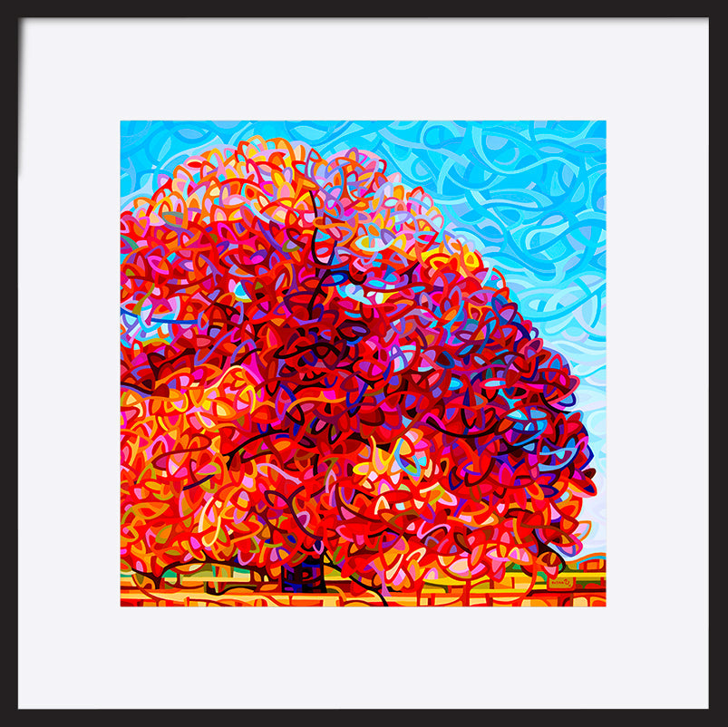 paper_frame