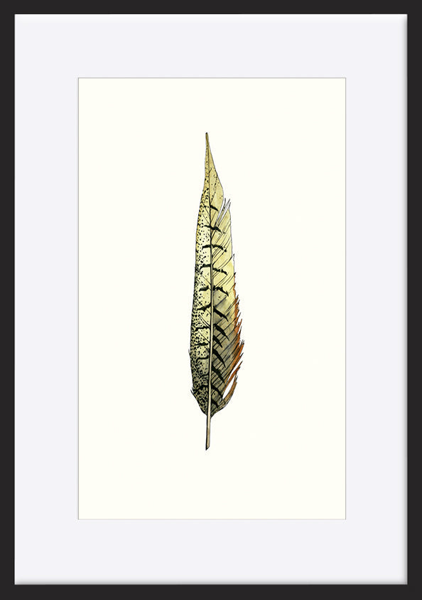 paper_frame