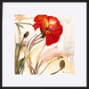paper_frame
