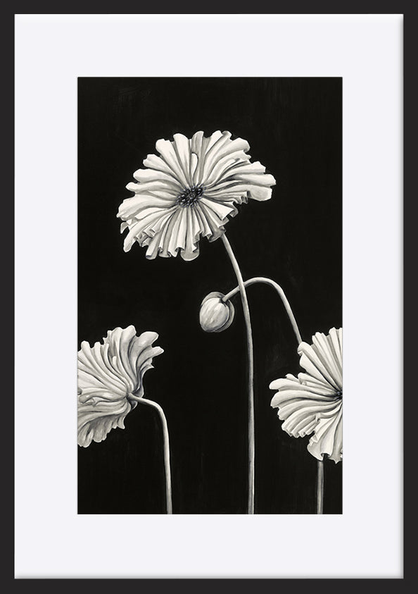 paper_frame