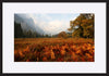 paper_frame