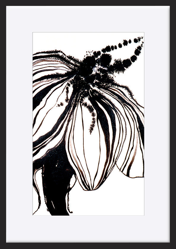 paper_frame