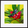 paper_frame