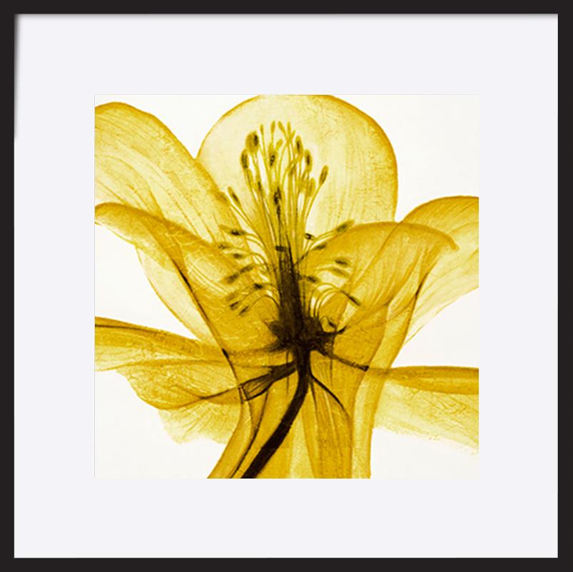 paper_frame