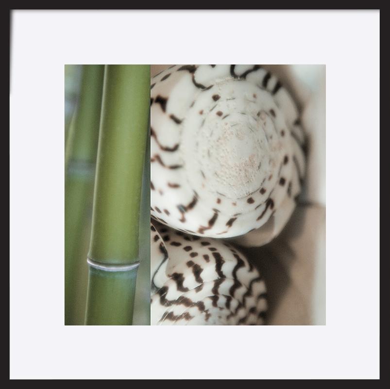 paper_frame