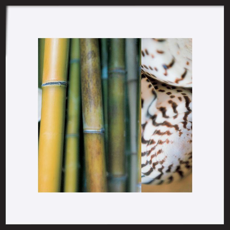 paper_frame
