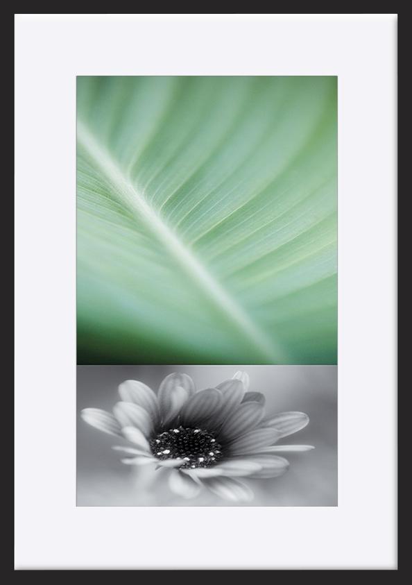paper_frame