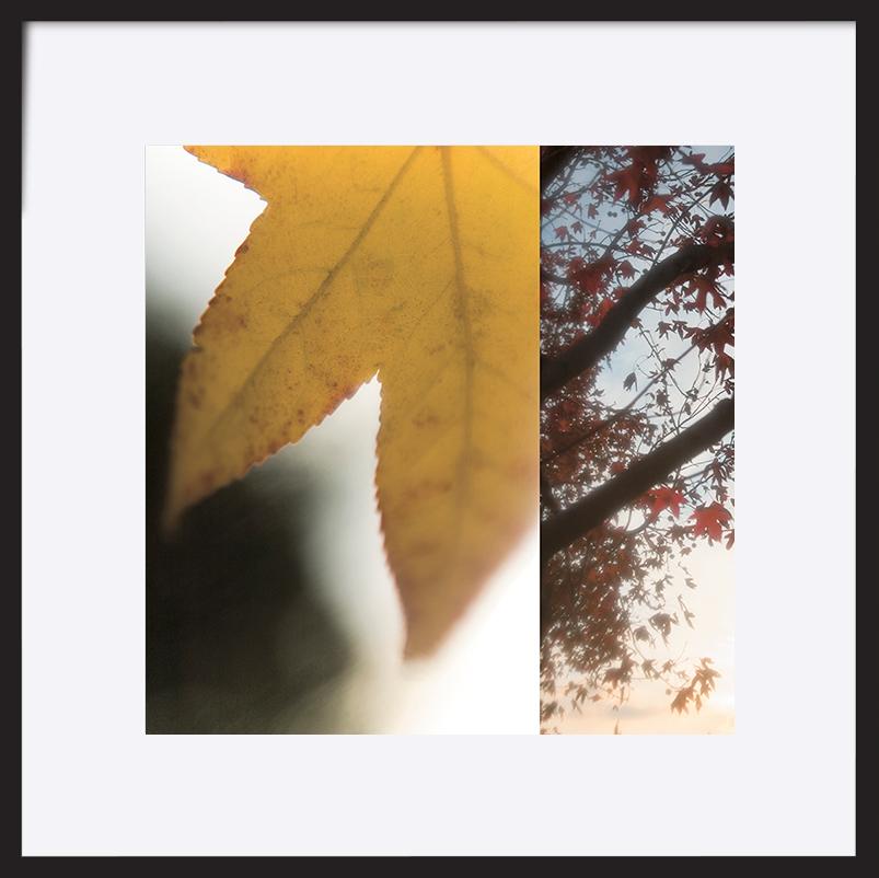 paper_frame
