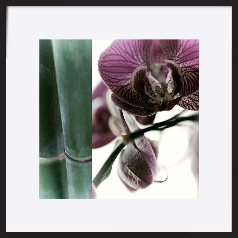 paper_frame