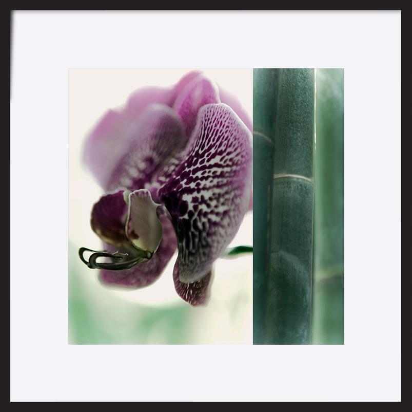paper_frame