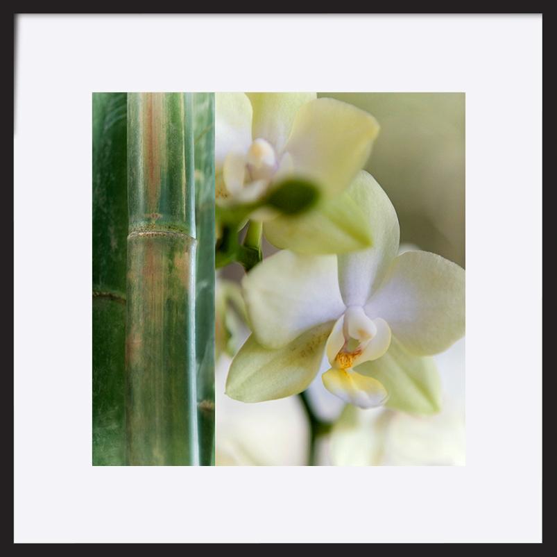 paper_frame