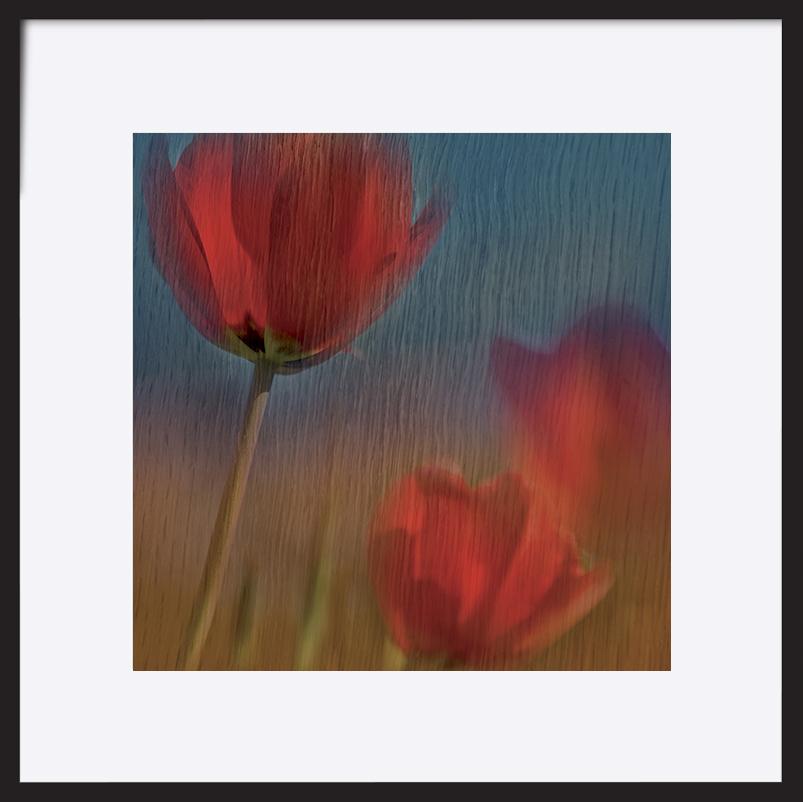 paper_frame