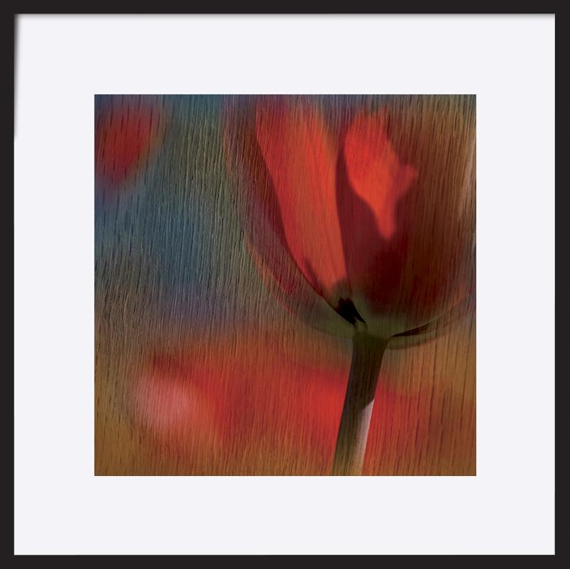 paper_frame
