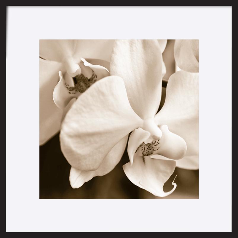 paper_frame