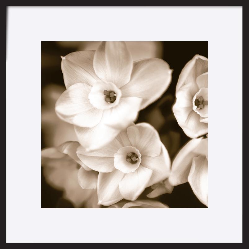 paper_frame