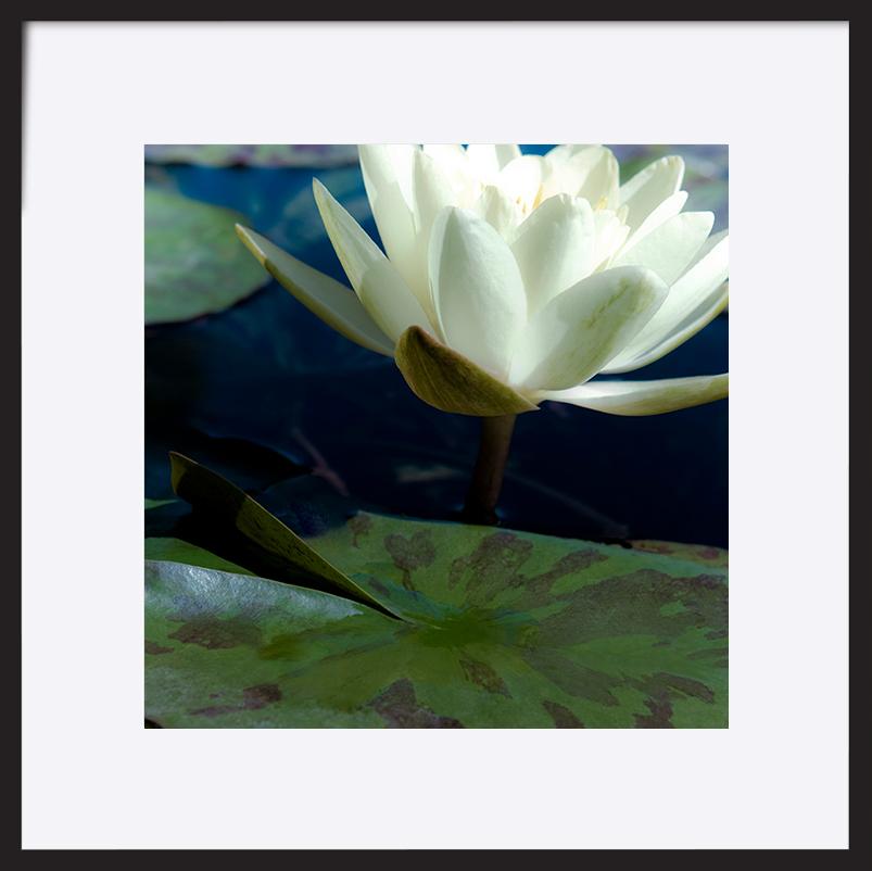 paper_frame