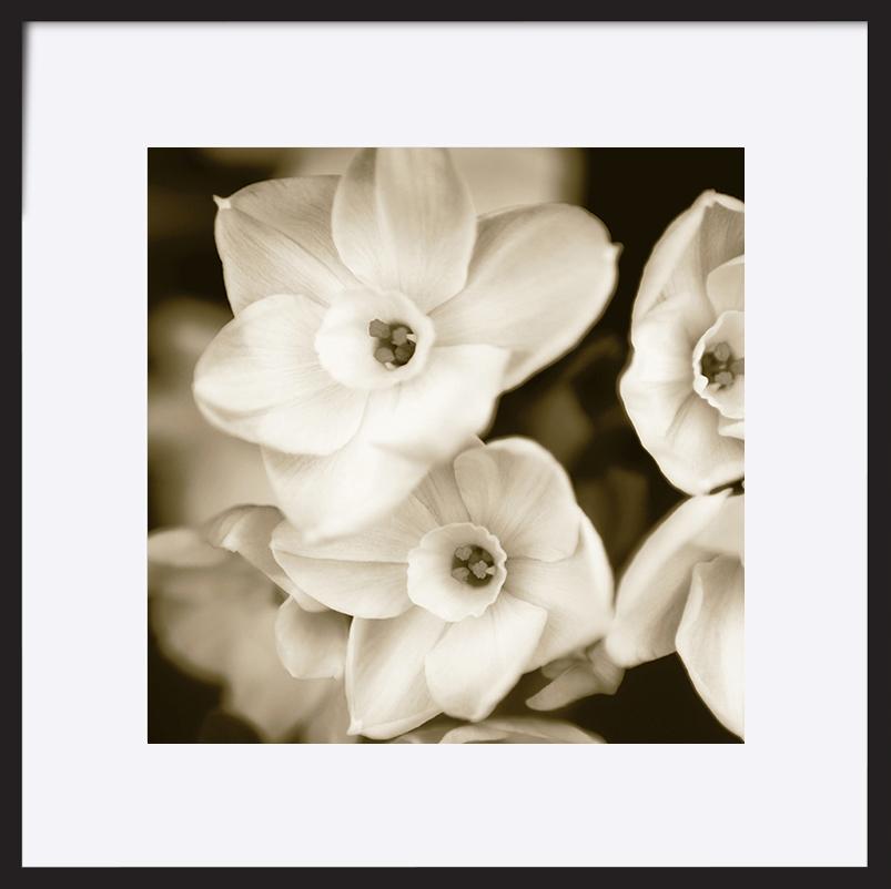 paper_frame