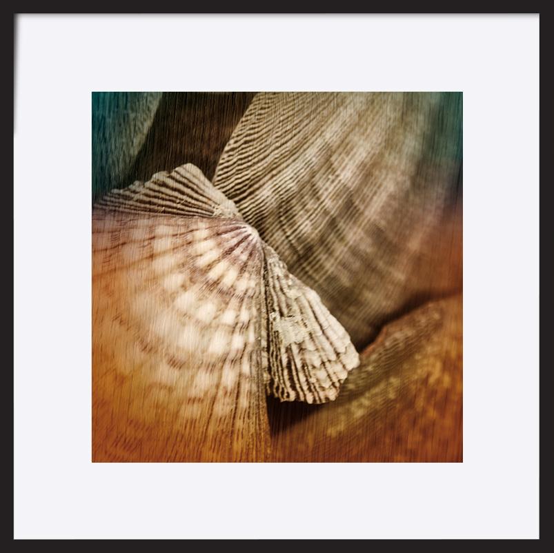paper_frame