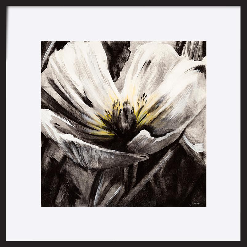 paper_frame