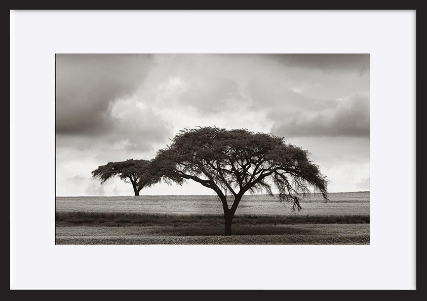 paper_frame