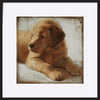 paper_frame