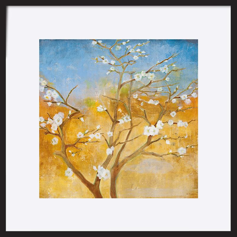 paper_frame