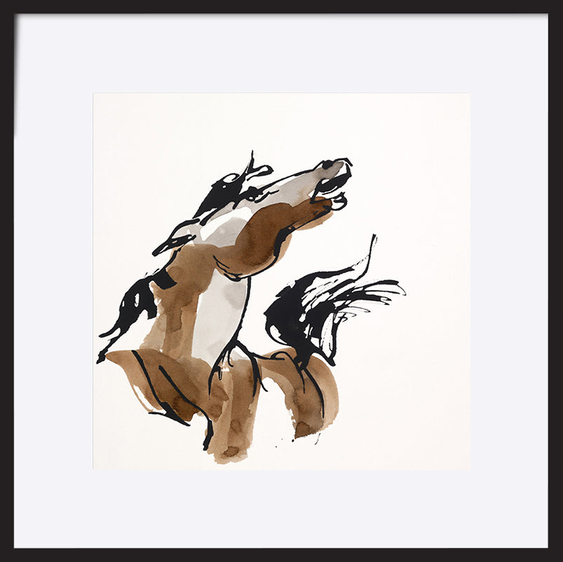 paper_frame