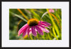 paper_frame