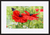 paper_frame