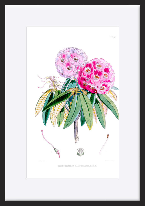 paper_frame