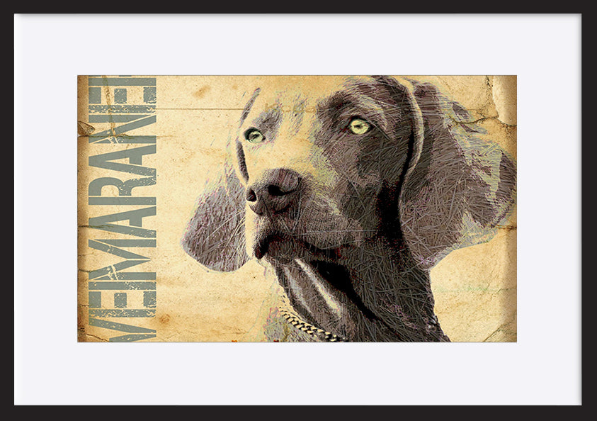 paper_frame