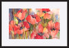 paper_frame