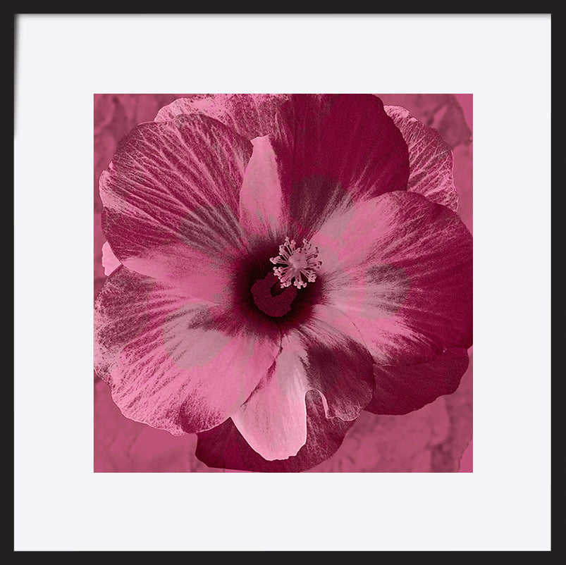 paper_frame