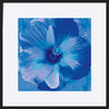 paper_frame
