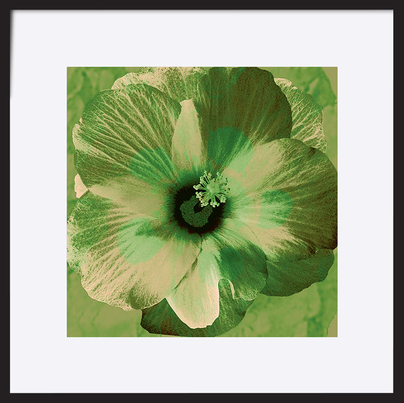 paper_frame