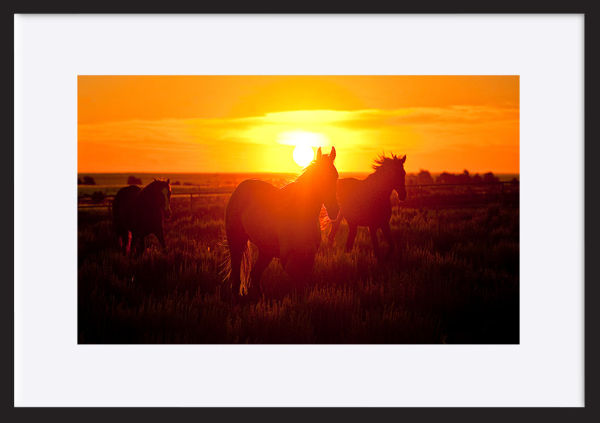 paper_frame