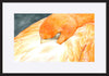 paper_frame