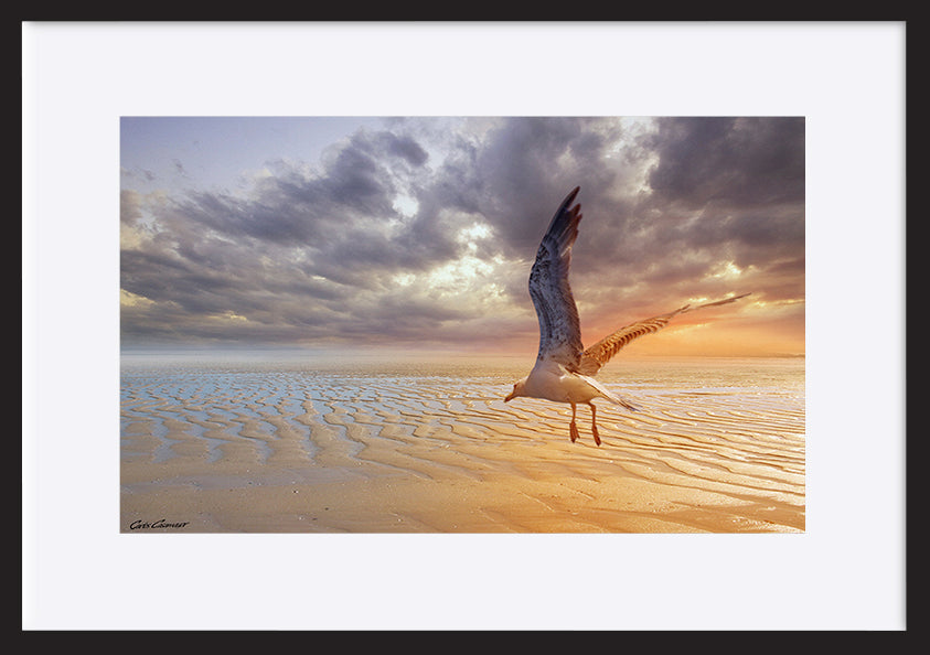 paper_frame