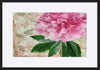 paper_frame