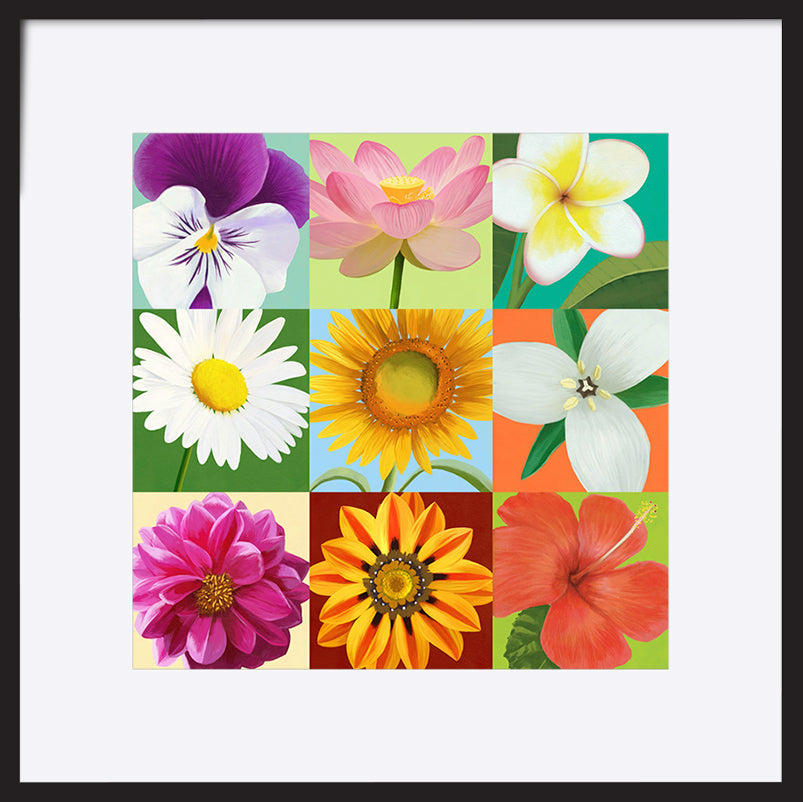 paper_frame