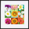 paper_frame