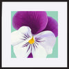 paper_frame