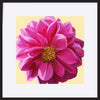 paper_frame