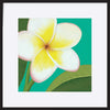 paper_frame