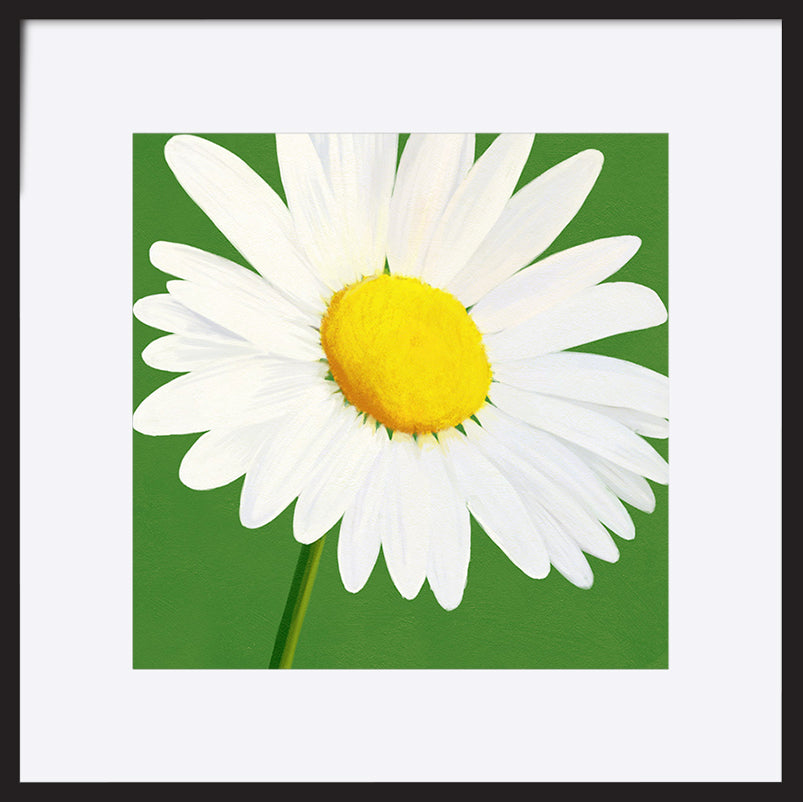 paper_frame