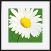 paper_frame