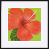 paper_frame
